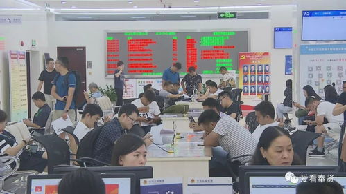 改革開(kāi)放40周年丨一流的營(yíng)商環(huán)境 助力奉賢成為投資熱土 投資咨詢服務(wù)